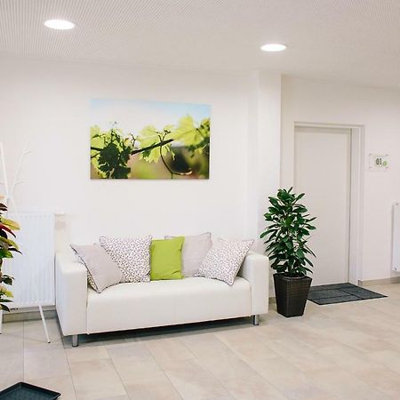 Steira-Studios Ehrenhausen Ngoại thất bức ảnh