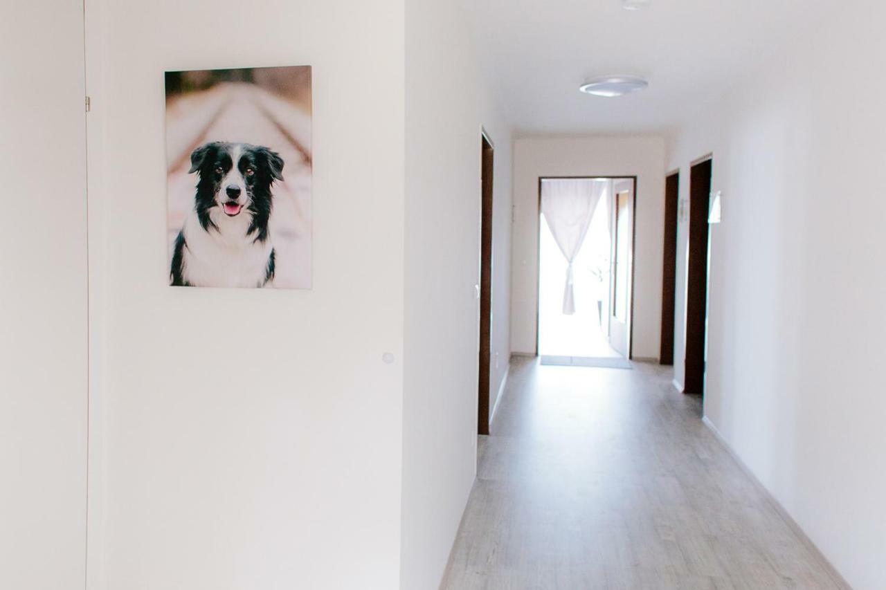 Steira-Studios Ehrenhausen Ngoại thất bức ảnh