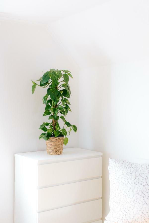 Steira-Studios Ehrenhausen Ngoại thất bức ảnh